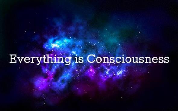 consciousness1